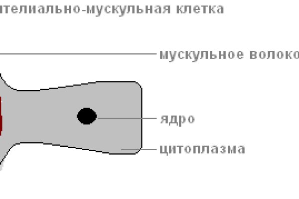 Кракен маркетплейс vk2 top