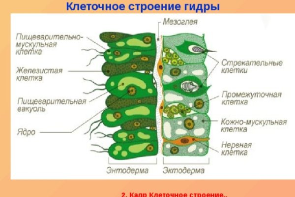 Kraken вход и ссылки