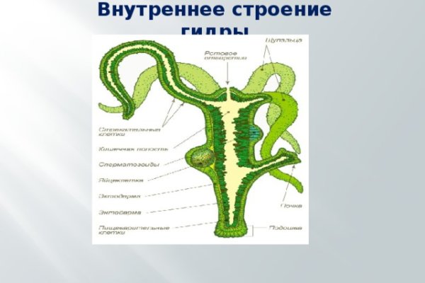 Ссылка на кракен тор kraken2 4aa337