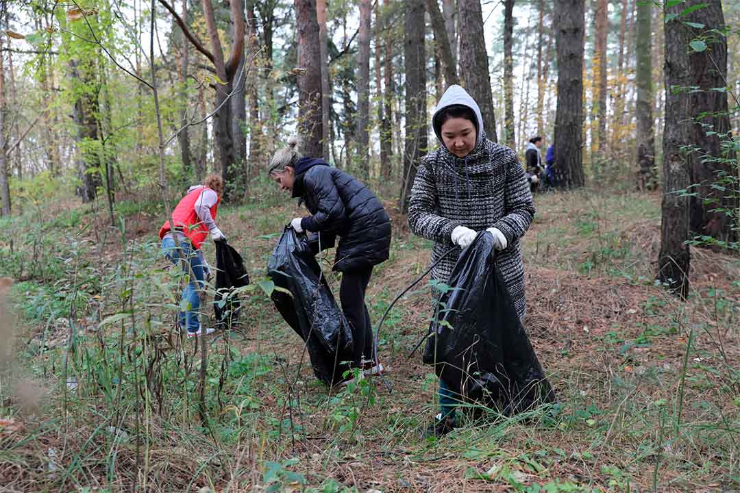 Кракен зон